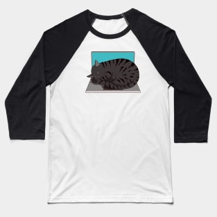 cat sleeping on laptop Baseball T-Shirt